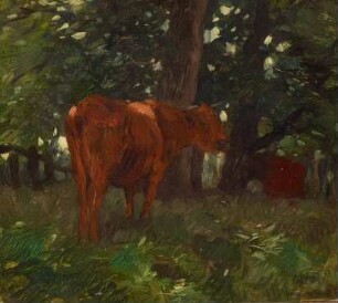 Kühe unter Bäumen