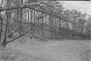 Blösaer Schanze. : Brězowske hrodźišćo.