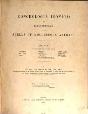 Conchologia iconica: or, illustrations of the shells of molluscous animals. XVII
