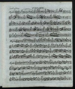 [Notenblatt] Tab. XIV – Tab. XIII
