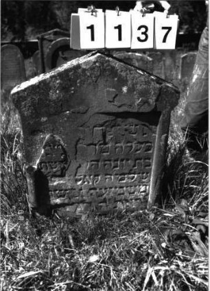 Grabstein 1137 (Index: 100098689) Maße HxBxT: 72x53x10 cm: Grabstein 1137