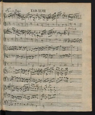 Tab. XLVIII