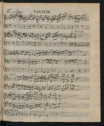 Tab. XLVIII