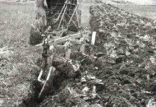 Anhängebeetpflug DD 30