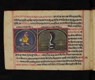 Illustration: f. 23v-24v