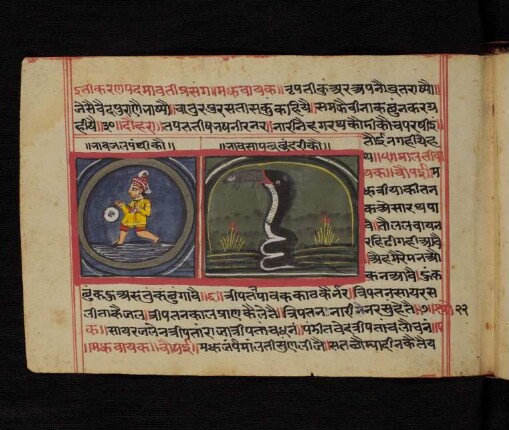 Illustration: f. 23v-24v