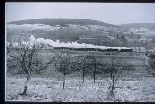 023 020- u. 023 021- mit N 7523 nach Bad Mergentheim zwischen Lauda und Königshofen