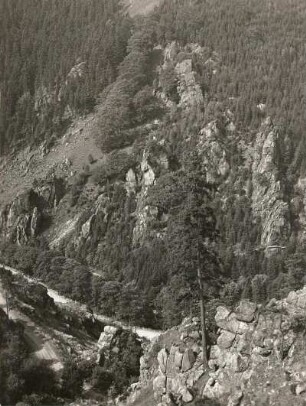 Harz. Okertal. Adlerfelsen, vom rechten Berghang gesehen