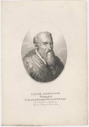 Bildnis des Ulysse Aldrovandi