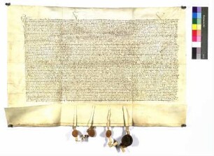 Ritter Wolf vom Stein von Klingenstein, Konrad und Dieter von Klingenstein verpflichten sich gegenüber der Stadt Ulm, aus ihrer Feste ihr nie Schaden zuzufügen.