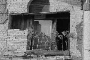 Berlin. Desolate Fensteröffnung eines Wohnhauses mit Tomatenstöcken im Balkonkasten