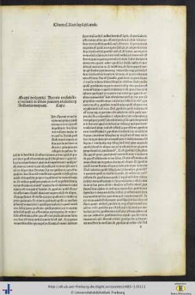 Commentum Auerois