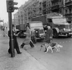 Blindenhunde im Examen