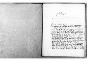 Brief von Marquard Georg Metzger, Stockach, an Johann Baptist Bekk: Einschätzungen zu Benedict Hennitz; Vorschläge zu Ruhe und zum Erhalt der Staatsordnung, 04.10.1848, Bl. 58 - 61.