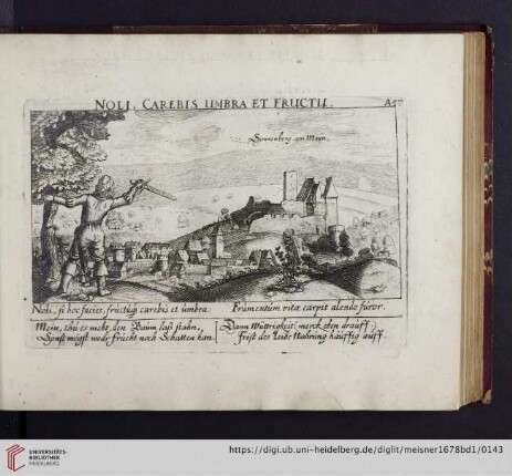 A57. Sonnenberg am Mayn, "Noli, carebis umbra et fructu"