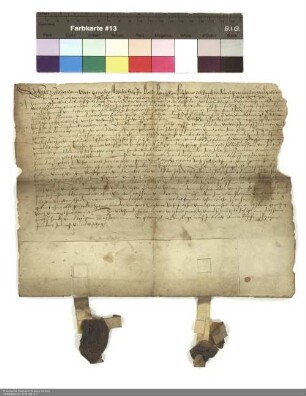 Philipp [Schenck zu Schweinsberg], Abt von Fulda und Inhaber des Klosters Johannesberg, verleiht eine Wiese in Weidemans