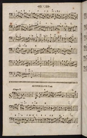 Antiphona VIII.