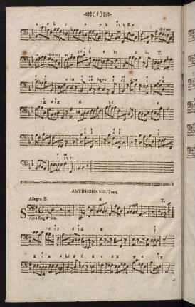 Antiphona VIII.