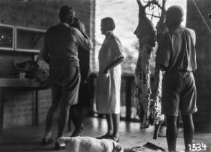 Schweine schlachten : Personen neben einem geschlachteten Schwein in einer Küche, vorn ein Hund