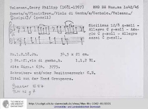 Trio g-moll