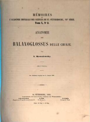 Anatomie des Balanoglossus delle Chiaje