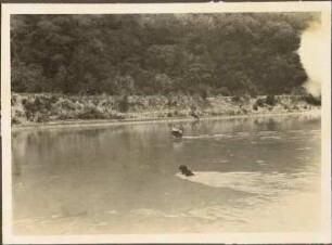 Río Acero