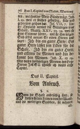 Das II. Capitel. Vom Anbruch. - Das VIII. Capitel. Vom Beinbruch.