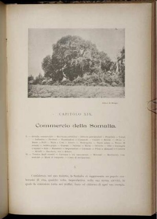 Capitolo XIX. Commercio della Somalia.