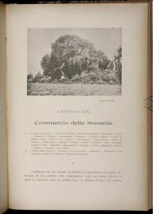 Capitolo XIX. Commercio della Somalia.