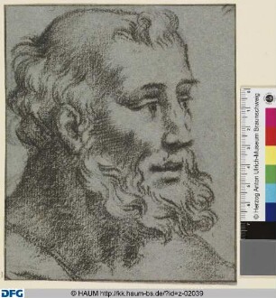 Bärtiger Männerkopf, nach rechts