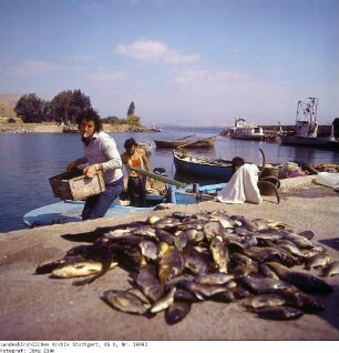 Israel: Fischfang See Genezareth
