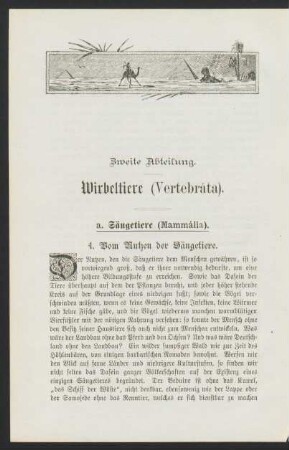 a. Säugetiere (Mammália).