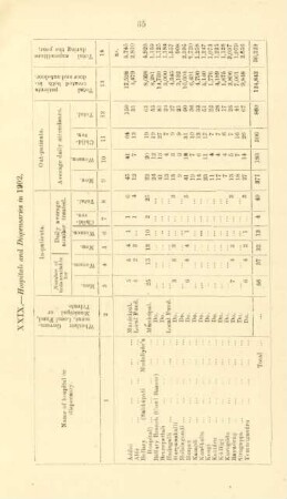 XXIX. - Hospitals and dispensaries in 1902