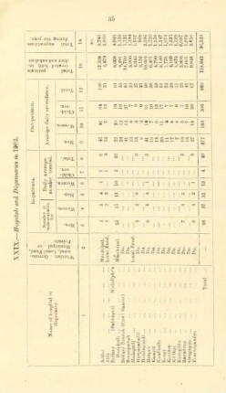 XXIX. - Hospitals and dispensaries in 1902
