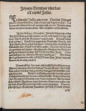 Johann Brentius uber das ix capitel Josua.