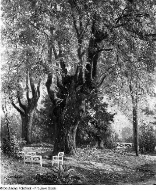 Herbst im Park : Herbst im Park. Öl auf Leinwand; um 1910