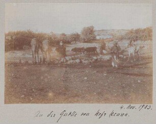 An der Quelle von kefr kenna. 4. Nov. 1903.