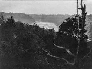 Der Niagara River : Flusslauf des Niagara River in der Nähe der Niagarafälle