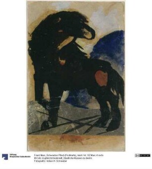 Schwarzes Pferd (Postkarte)