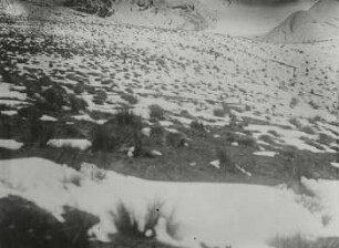 Neuschnee am westlichen Quilindaña