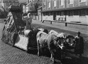 Festwagen auf einem Weinlesefest in Rüdesheim