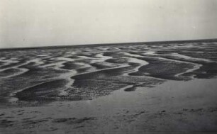Große Ebene mit Bodenwellungen, Watt