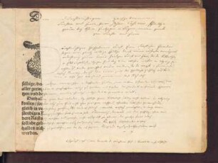 Dem Durchleuchtigen Hochgebornen Fürsten vnnd Herrn/ Herrn Johann Casimir/ Pfalzgrauen bey Rhein/ Herzogen in Bayern/ meinem gnedigen Fürsten vnnd Herrn.