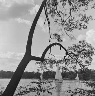 Segelboote auf der Havel