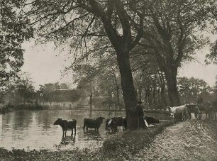 "Herbstlandschaft" aus der Mappe "Aus Schleswig-Holstein"