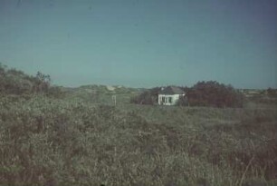 Kleines Haus an einer Düne (vielleicht ein Dünenwärterhaus)