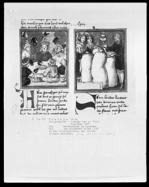 Auszüge aus der Bibel, und Marienleben — Krötenplage in Ägypten