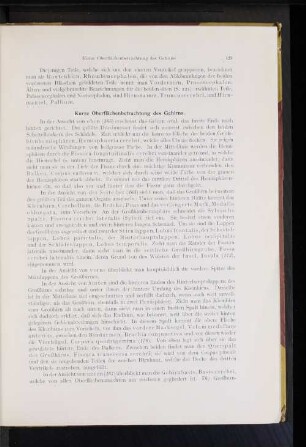 Kurze Oberflächenbetrachtung des Gehirns.
