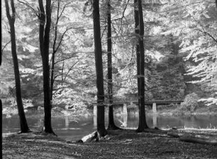 Bielatal. Blick über einen Teich gegen eine Straße. Herbstaufnahme