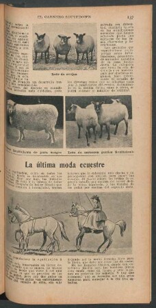 La última moda ecuestre